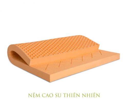 Nệm cao su Thiên nhiên vạn thành 100 x 200 x 10 cm